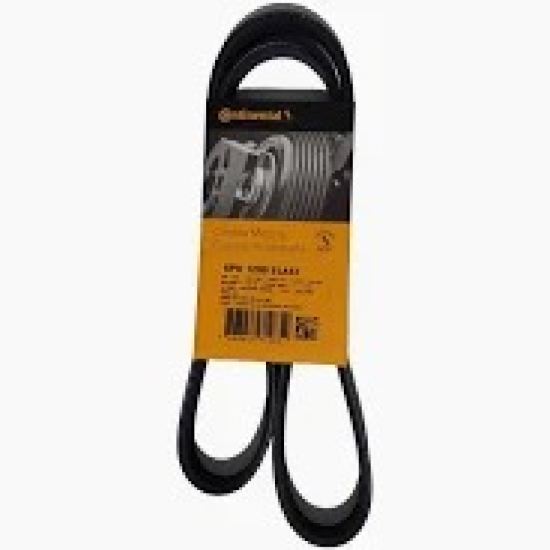 Correia Alt 6pk1200 Elastica