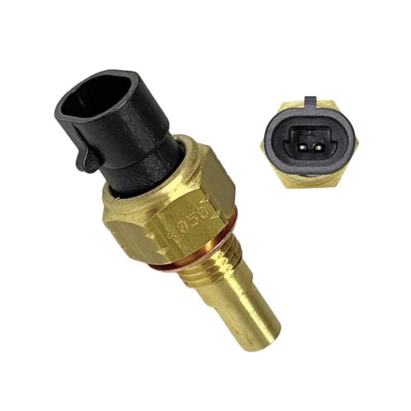 Sensor Temperatura Agua